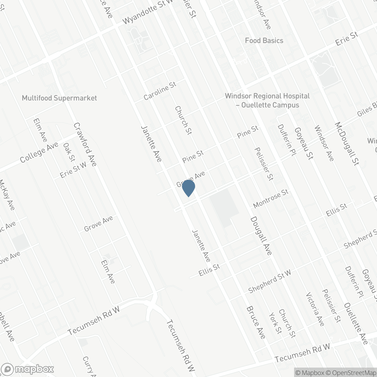 1171 BRUCE, Windsor, Ontario N9A 4Y5